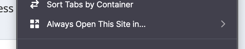 Screenshot of option to auto open in a Container.